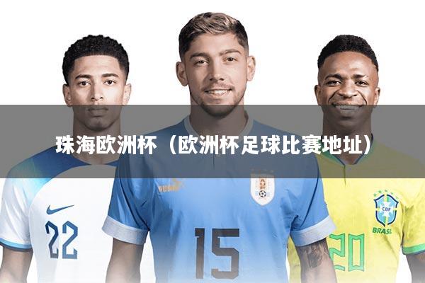 珠海欧洲杯（欧洲杯足球比赛地址）